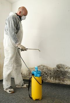 Mold Removal & Water Damage Restoration Quartz Hill