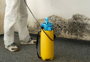 Mold-infected wall in Jeffrey Porterfield’s Quartz Hill home office before professional removal.