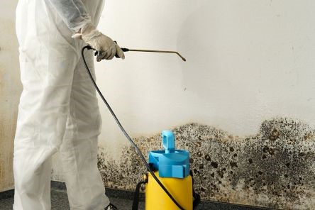 Severe mold damage on a home office wall in Quartz Hill, resolved through expert restoration services.